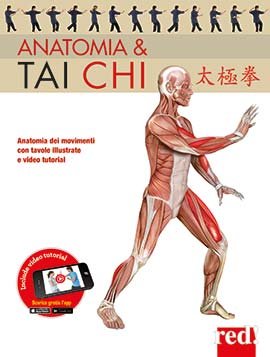 Anatomia & Taichi