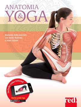 Anatomia & Yoga