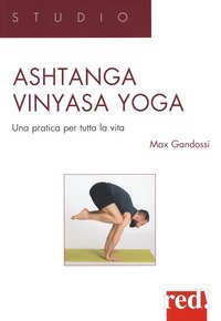 Ashtanga vinyasa yoga