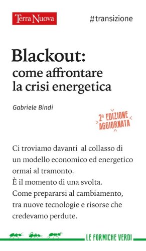 Blackout: come affrontare la crisi energetica - Ebook