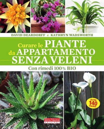 Curare le piante da appartamento senza veleni - Con rimedi 100% bio